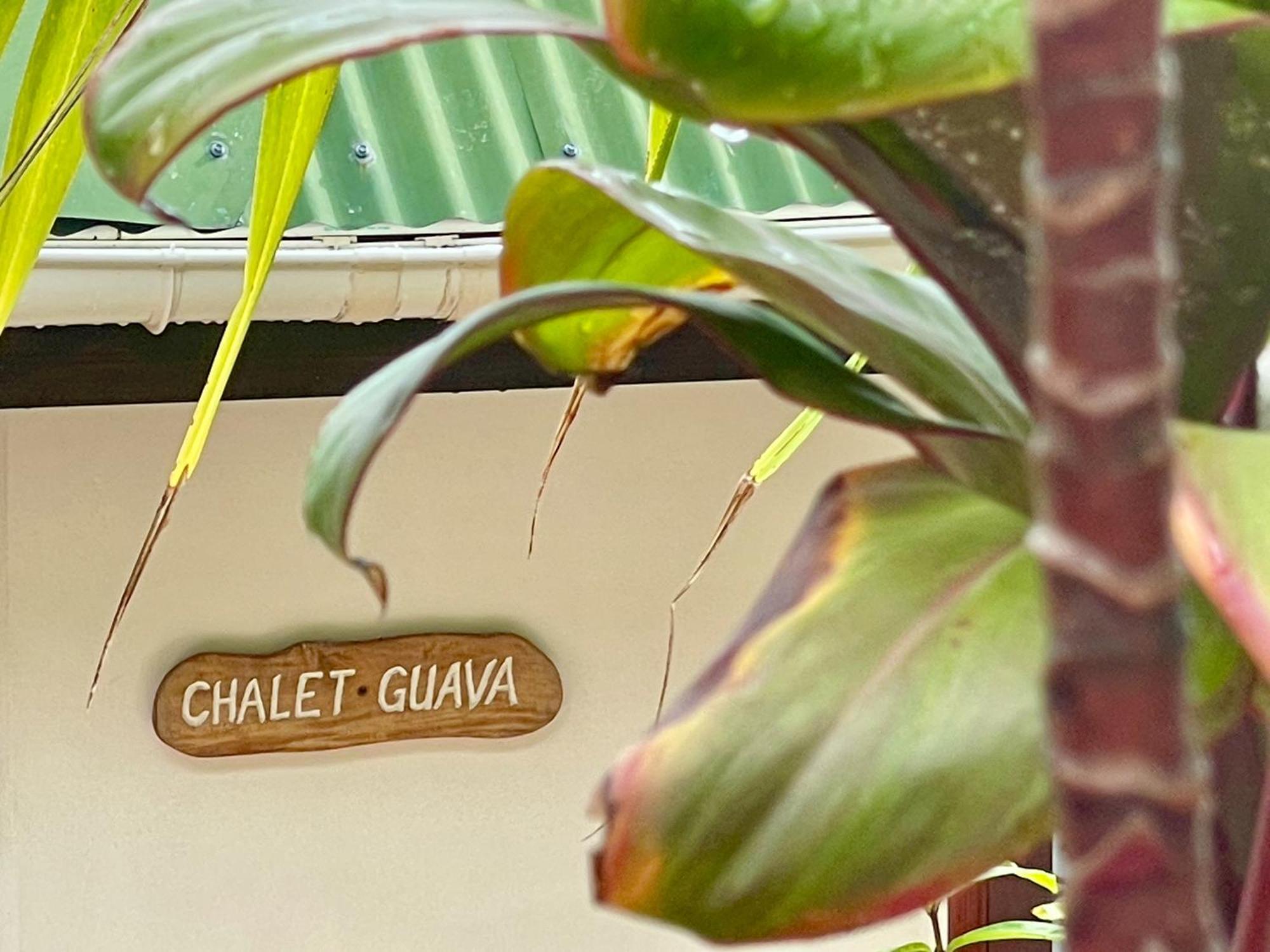 Chalets Bougainville 타카마카 객실 사진